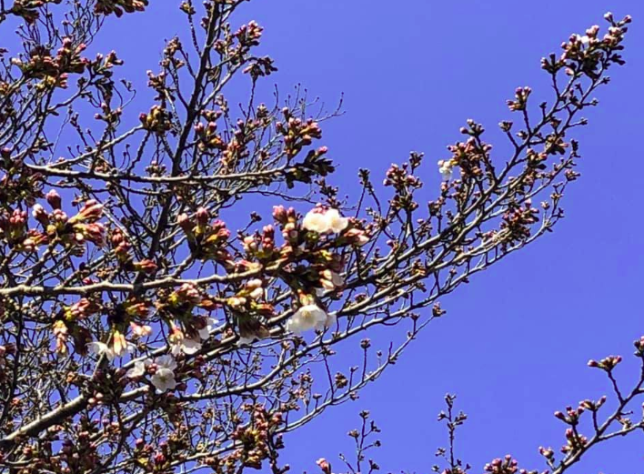 桜　京浜スチール　パレット　溶接　工場　川崎